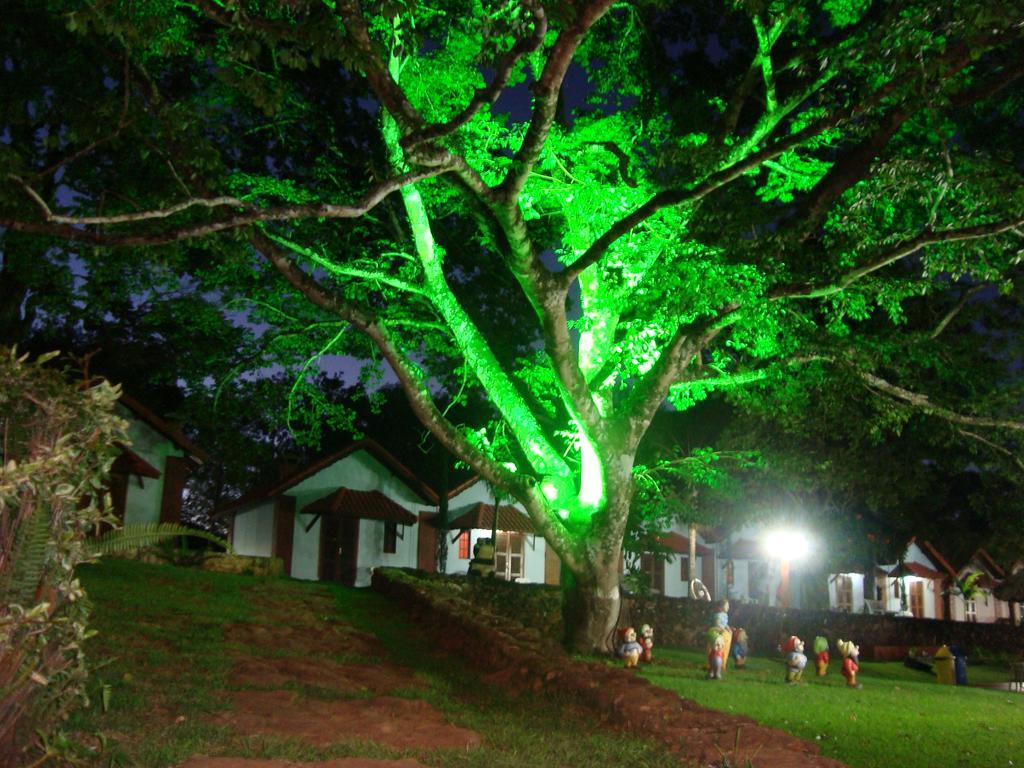 Hotel Fazenda Floresta Do Lago ソコロ エクステリア 写真
