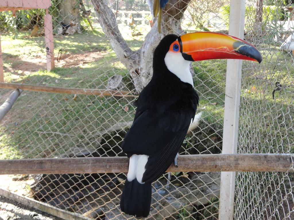 Hotel Fazenda Floresta Do Lago ソコロ エクステリア 写真